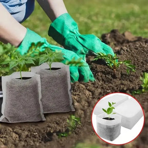 Sacos de cultivo de plantas biodegradáveis para berçário de sementes